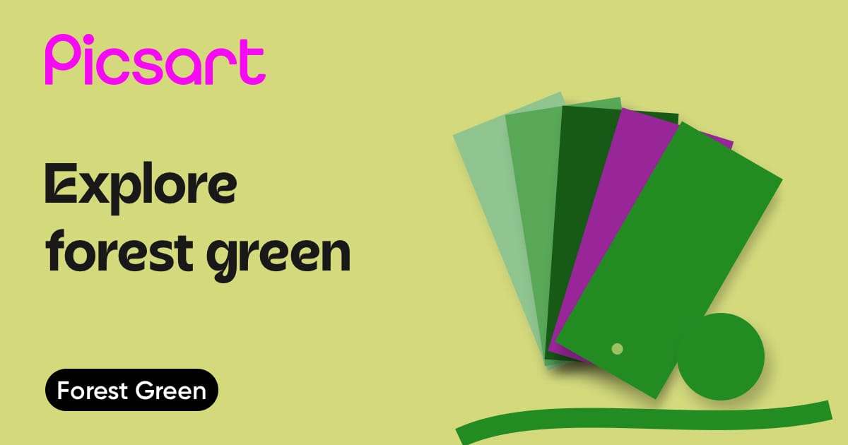 forest green color with #228B22 hex code